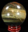 Top Quality Polished Tiger's Eye Sphere #37683-1